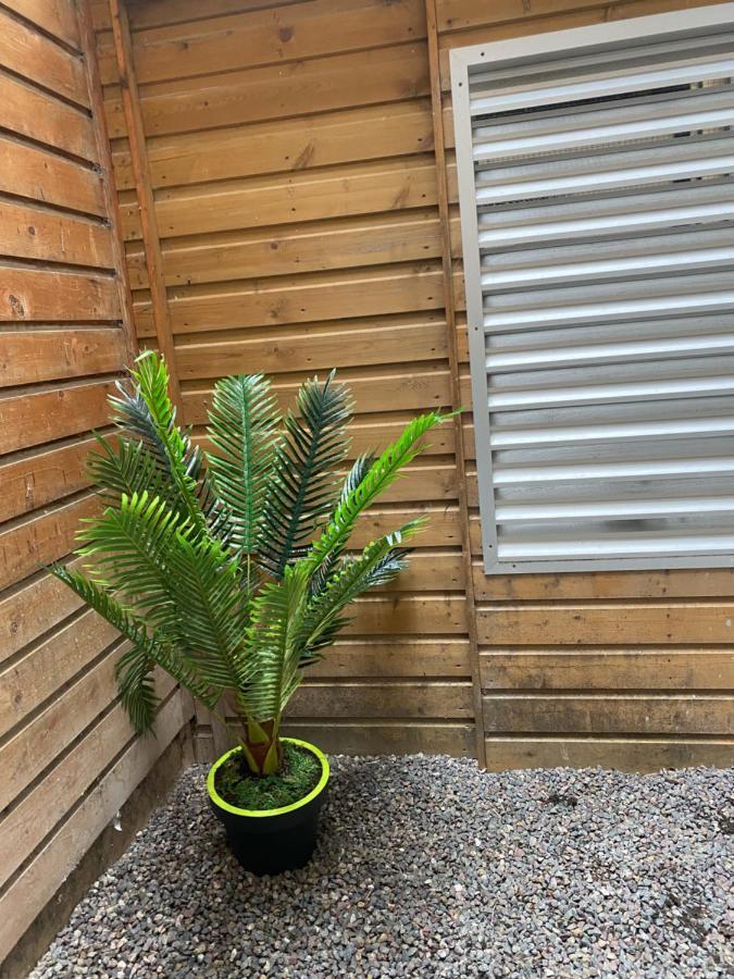 דייפ Avec Jardinet Sans Vis A Vis Plein Centre Ville Au Rdc 350M De La Plage מראה חיצוני תמונה